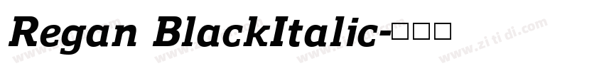 Regan BlackItalic字体转换